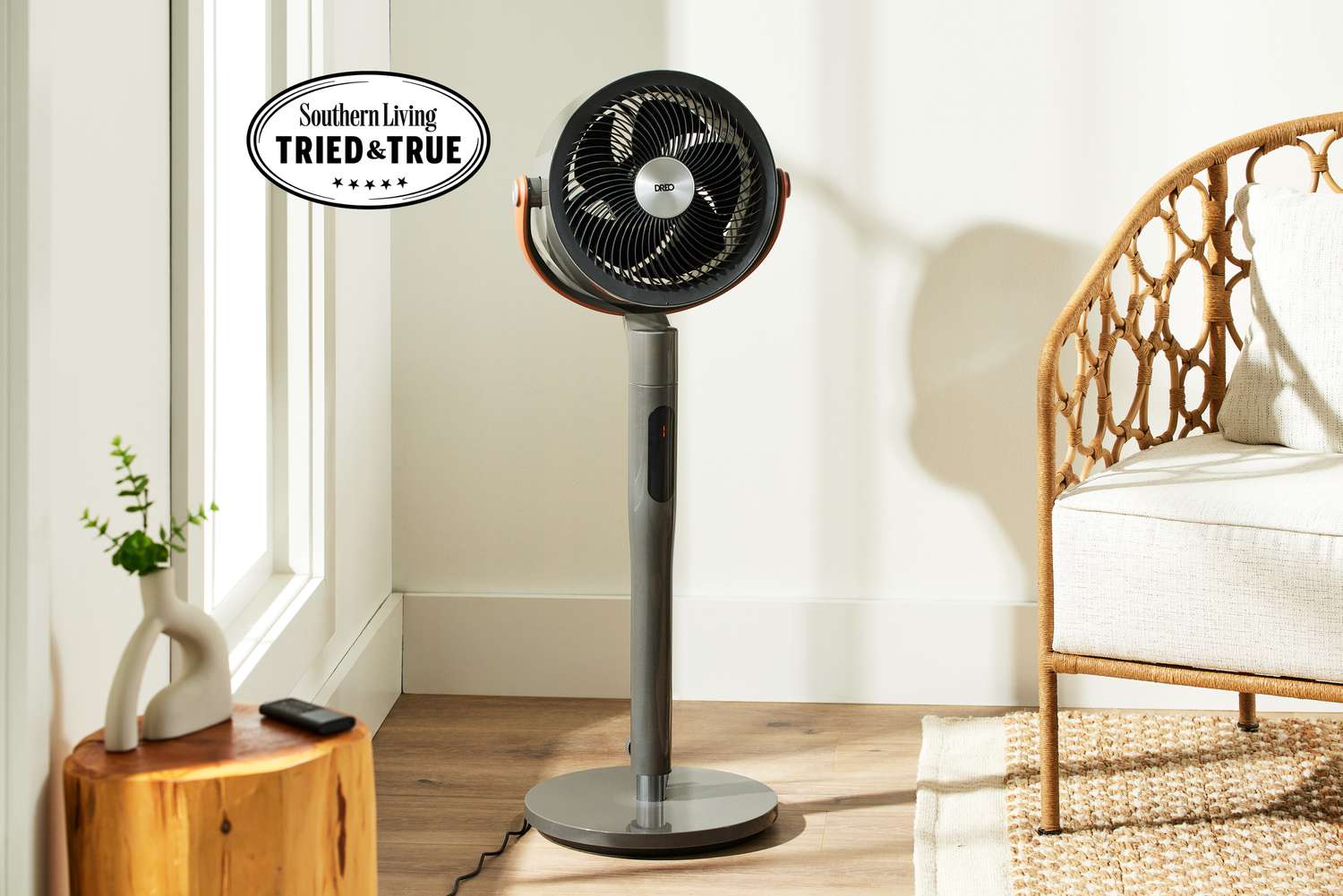 Your Ultimate Guide to the Best Budget Electric Fan for Bedrooms