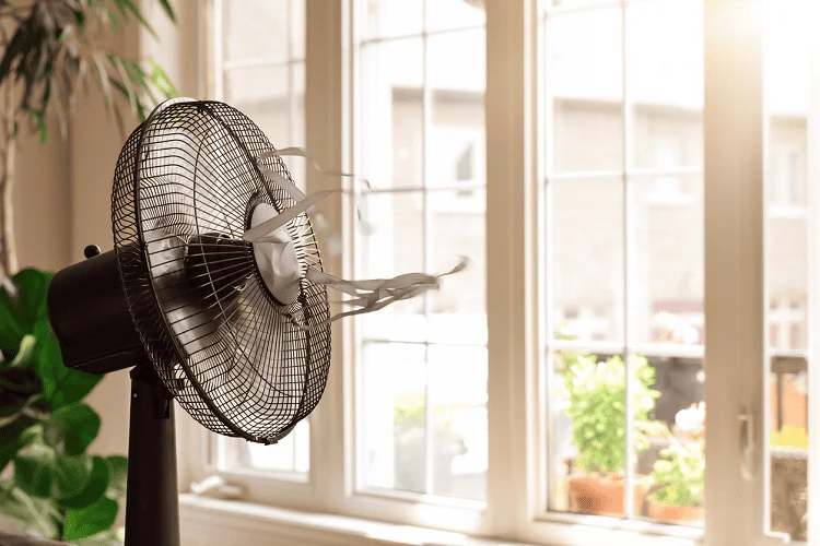 How to Check Fan Wattage: An Expert’s Guide to Efficiency