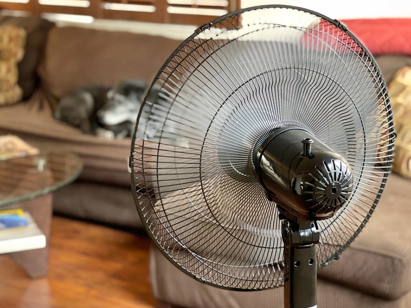 The Great Debate: Fan Daily Benefits vs AC Cooling