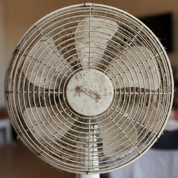 Close-up of dirty pedestal fan blades covered in thick dust and grime, showing need for cleaning.